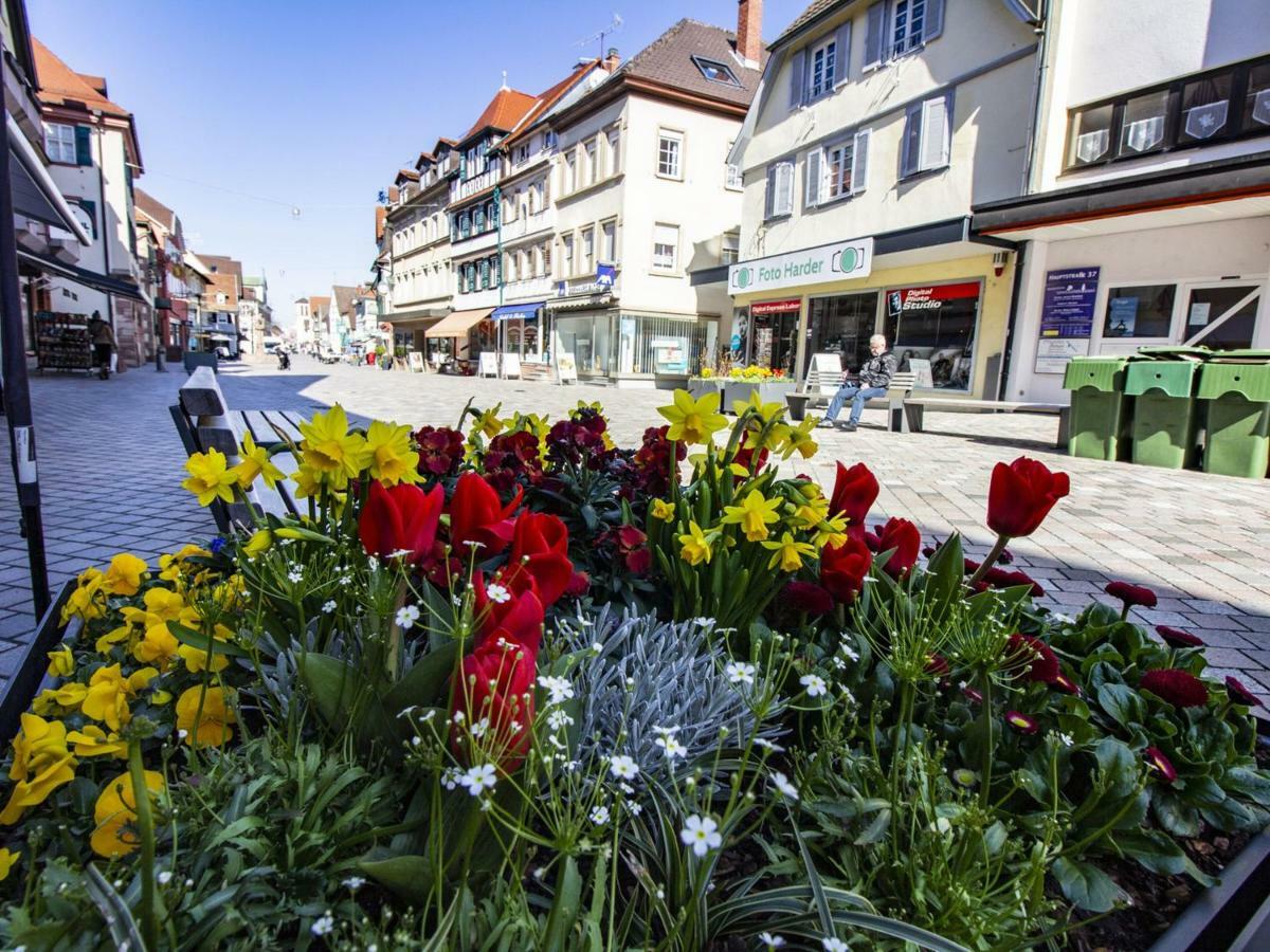 Ferienwohnung Innenstadt Oberkirch  Ngoại thất bức ảnh